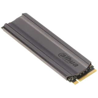 SSD diskas SSD-C900VN256G 256 GB