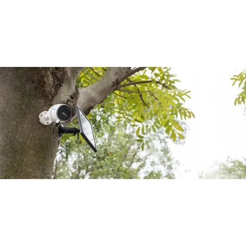 Kamera zewnętrzna IP Reolink zamontowana na drzewie, skierowana w stronę otoczenia. Obok kamery znajduje się panel słoneczny, który zapewnia zasilanie urządzenia.