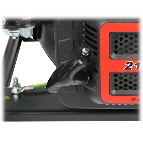 F-3001R W FOGO elektros generatorius